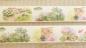 Preview: Design Washi Tape Nature